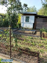 Sprzedam działkę ROD - Obrazek 4