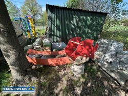 Bujaki spręzynowe - Obrazek 2