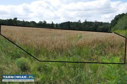 Sprzedam działke Okocim - Obrazek 1