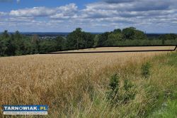 Sprzedam działke Okocim - Obrazek 2