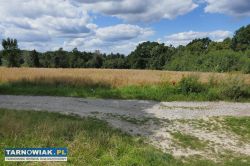 Sprzedam działke Okocim - Obrazek 3