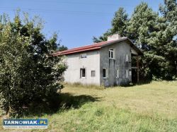 Nowa Jastrząbka - dom z dużą działką - Obrazek 1