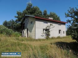 Nowa Jastrząbka - dom z dużą działką - Obrazek 2