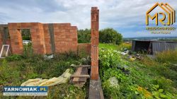 Dębno koło Brzeska - Obrazek 4