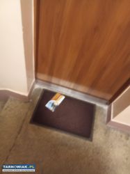 Roznosimy ulotki gazety - Obrazek 1