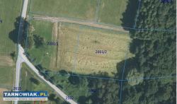 Działka rolno-budowlana Szerzyny - Obrazek 1