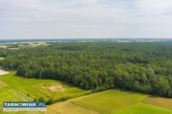 Działka leśna blisko zalewu w Narożnikach - Obrazek 2