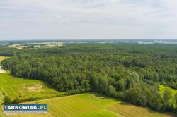 Działka leśna blisko zalewu w Narożnikach - Obrazek 3