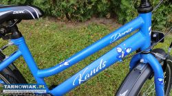 Rower 20 Kands sprawny bdb stan - Obrazek 2