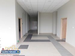 Lokal biurowy -67m2 - ul. Okrężna - Obrazek 2