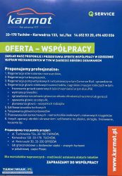 Naprawa Regeneracja Głowic silnikowych - Obrazek 2