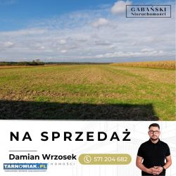 Działki budowlane w Zabawie k. Radłowa - Obrazek 3