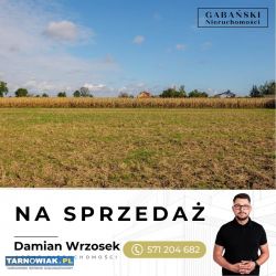 Działki budowlane w Zabawie k. Radłowa - Obrazek 4