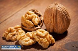 Orzechy włoskie łuskane - Obrazek 2