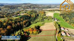 Widokowa z lasem - Obrazek 1