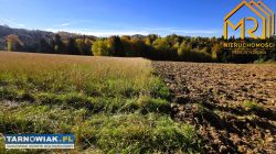 Widokowa z lasem - Obrazek 3