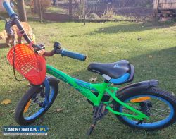 Rowerek score 16 - Obrazek 1