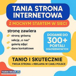 Tania strona internetowa z mocnym startem w sieci - Obrazek 1