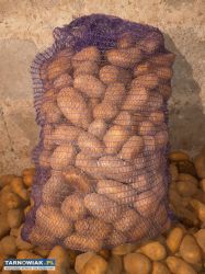 Sprzedam ziemniaki Soraya i Królowa Anna - Obrazek 1