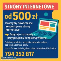 Strony internetowe od 500 zł - tanio, szybko i pro - Obrazek 1