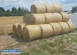 Sprzedam słomę baloty - Obrazek 1