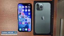 iPhone 13 Pro Max 256GB zielony, stan bdb - Obrazek 1