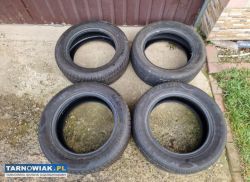 Opony Zimowe Goodride 225/55R16 - Obrazek 1