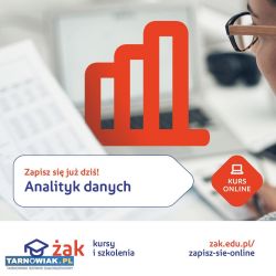 Analityk danych - Obrazek 1