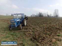 Ford dexta 300 48 koni 3p - Obrazek 2