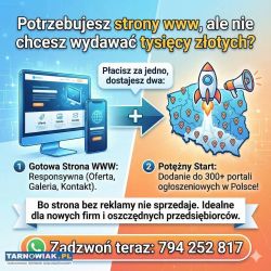 Hit: strona www + reklama w 300 miejscach! | dodaw - Obrazek 1