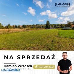 Działka budowlana - Tarnów-Mościce- ul. Chemiczna - Obrazek 3