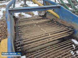 Kopaczka elewatorowa - Obrazek 4