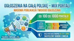 Nowoczesne strony WWW + promocja firmy w portalach - Obrazek 3