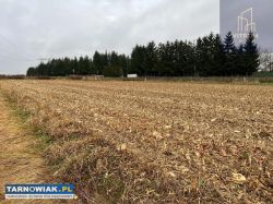 Na sprzedaż działka z WZ 0,57ha, Łęg Tarnowski - Obrazek 1