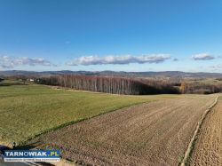 Działka  na sprzedaż w Ołpinach gmina Szerzyny - Obrazek 4