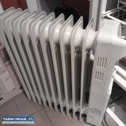 Grzejnik olejowy - Obrazek 1