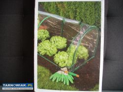 Cieplarnia-rozsadnik. - Obrazek 1