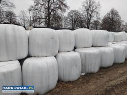 Siano baloty - Obrazek 1