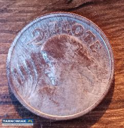 Moneta 2zł Żniwiarka Róg i Pochodnia 1924 rok - Obrazek 1