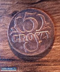 Moneta 5 groszy 1925 rok - Obrazek 1