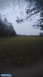 Dąbrówki Breńskie - działki na sprzedaż - Obrazek 1