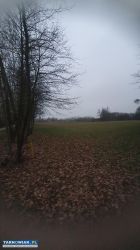 Dąbrówki Breńskie - działki na sprzedaż - Obrazek 2