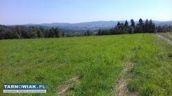 Działka budowlana Zabłędza - Obrazek 1