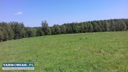 Działka budowlana Zabłędza - Obrazek 3