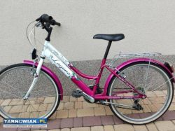 Rower dziewczęcy 24 cale - Obrazek 1