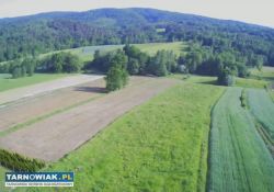 7 hektarów, 33 ary: działki rolne i las - Obrazek 1