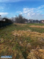 Działka z domem drewnianym gm. Dębno - Obrazek 4