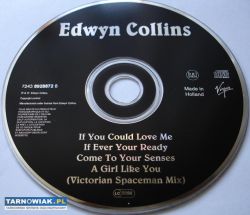 Edwyn Collins If you could love me - Obrazek 3