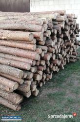 Sprzedam steple budowlane nowe . - Obrazek 1