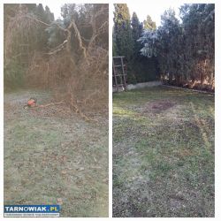 Brukarstwo, Prace Ogrodnicze,Porządkowe - Obrazek 2